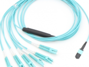 De toepassing van veur-termineerde Fiber in de data Centers